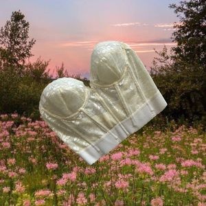 Classic Vintage 90s Cream Beige Floral Lace Fairy Coquette Bustier Corset